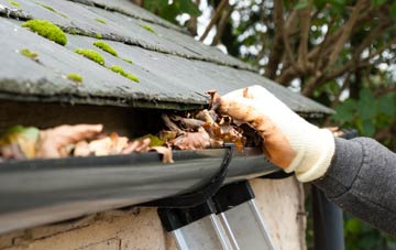 gutter cleaning Nynehead, Somerset