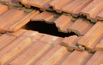 roof repair Nynehead, Somerset
